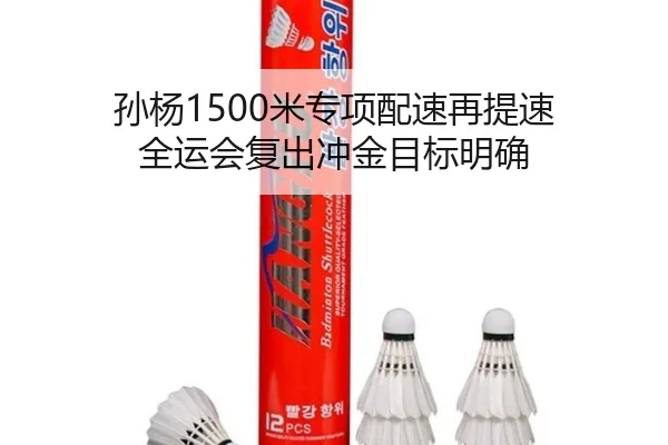 孙杨1500米专项配速再提速 全运会复出冲金目标明确